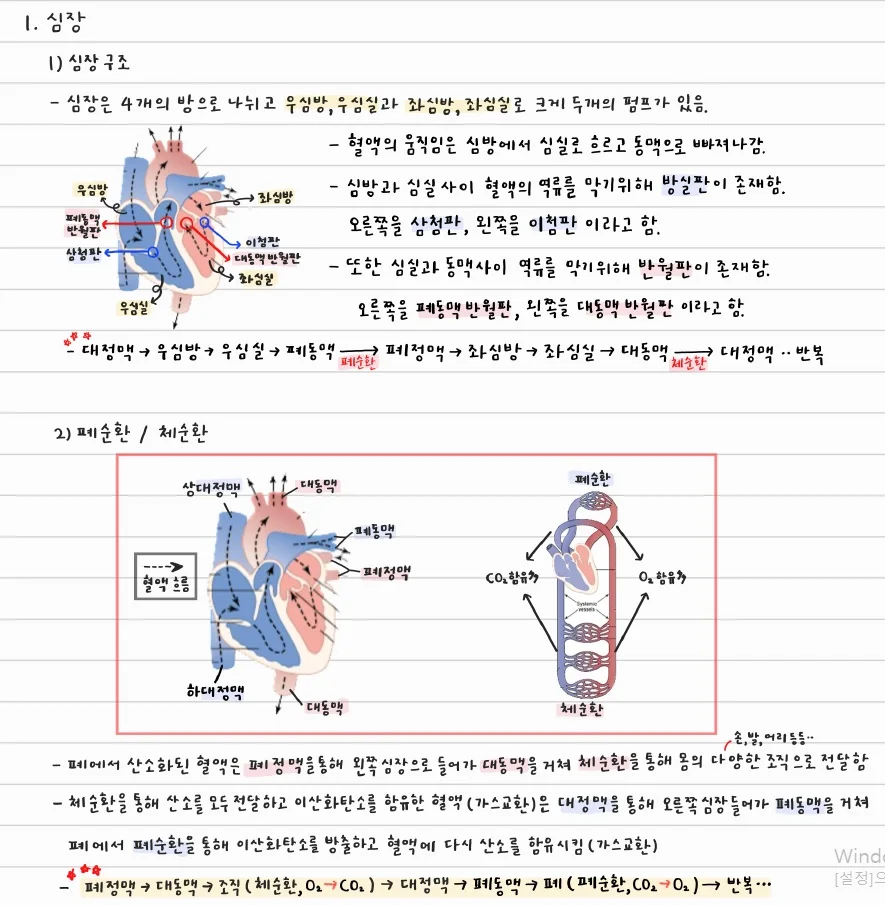 상세이미지-1