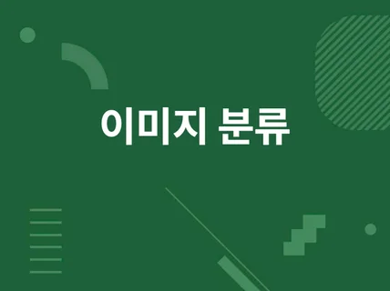 인공지능을 활용한 이미지 분류/객체탐지 알고리즘 개발