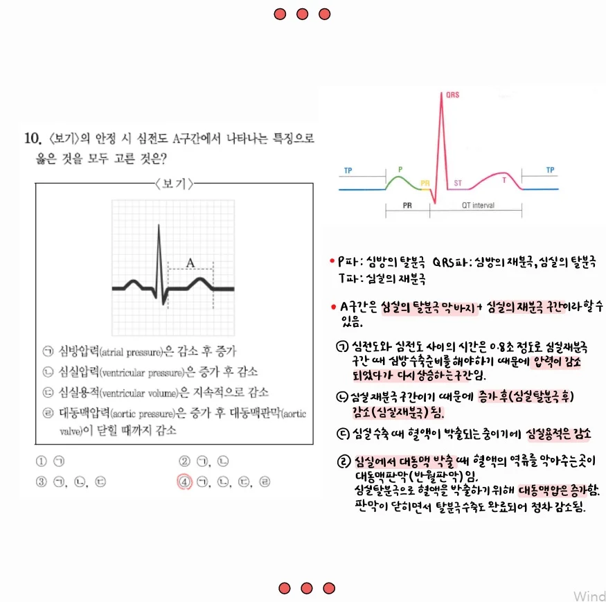 상세이미지-2