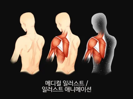 메디컬 일러스트,움직이는 일러스트 그려 드립니다.