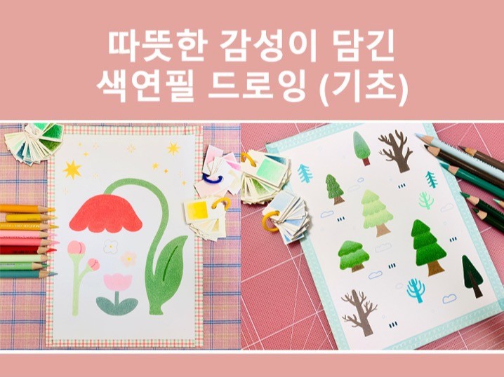 색연필 드로잉 기초부터 일러스트까지 모두 알려 드립니다.