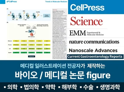 바이오/메디컬 논문 삽화