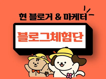 맞춤 블로그 체험단 기자단 연결해드립니다