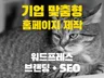 기업 고급 맞춤 워드프레스 + SEO