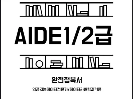 AIDE 1급/2급 완전정복서