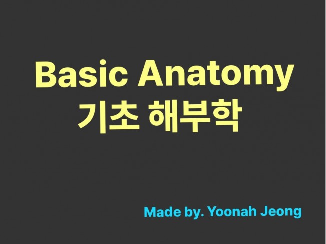 Basic Anatomy 기초 해부학 전자책