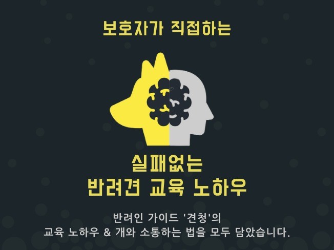 실패없는 반려견 교육 방법을 알려드립니다