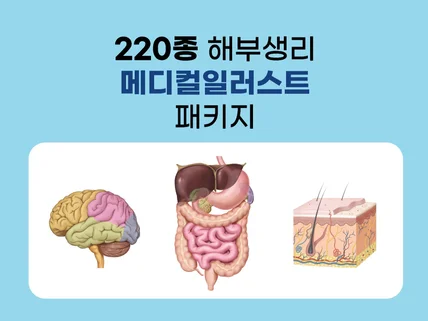 220종 해부 생리 메디컬일러스트 png파일을 제공