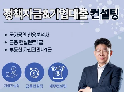 정책자금과 기업금융, 자금/금융/재무/경영 컨설팅