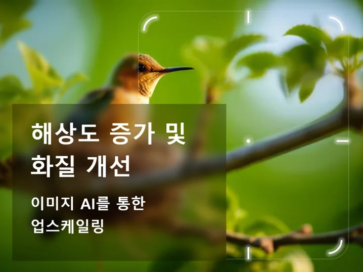 AI 이미지 해상도 개선 전후 비교