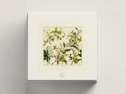 핸드드로잉 기반의 차별화된 패키지 디자인