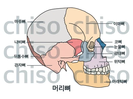 의학,과학 일러스트