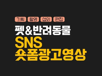 펫 제품 SNS 숏폼 광고 영상 기획,촬영,편집