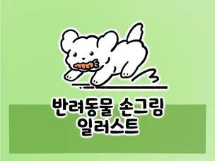 포트폴리오