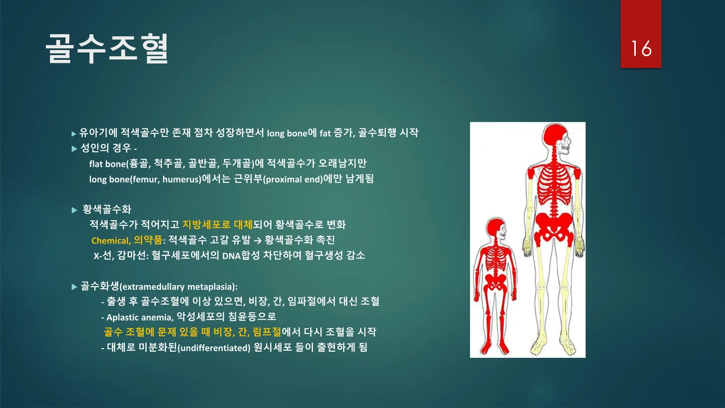 상세이미지-1