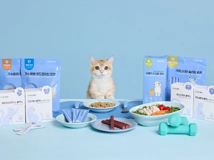 반려동물 룩북 고양이 용품 제품 촬영 + 전문 모델까지
