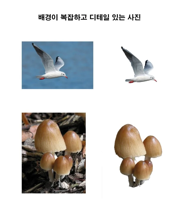 상세이미지-2