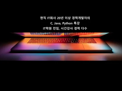 코딩 과외 C, Java, Python, 코딩테스트