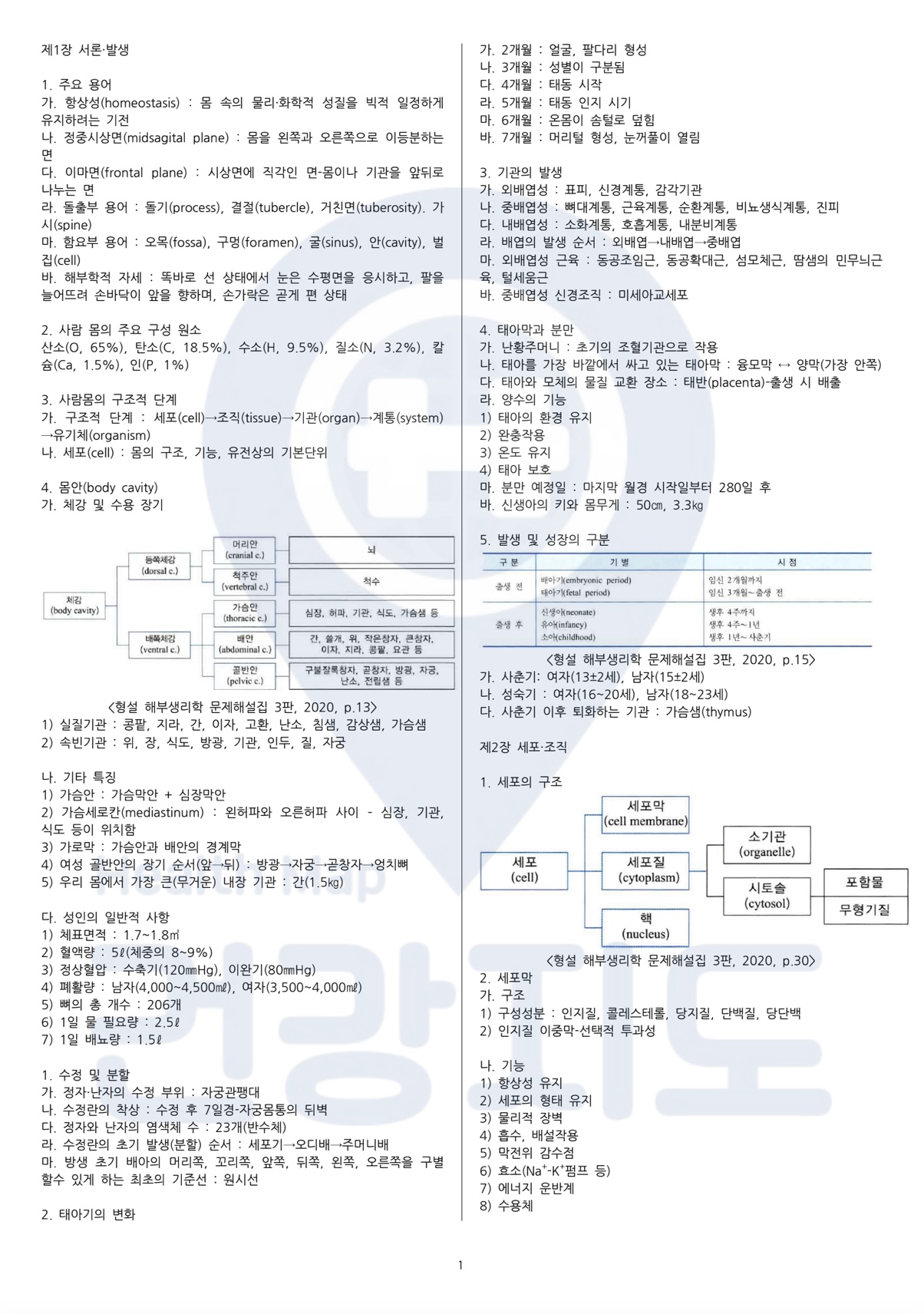 물리치료사 국가고시 개념 노트를드립니다. - 크몽