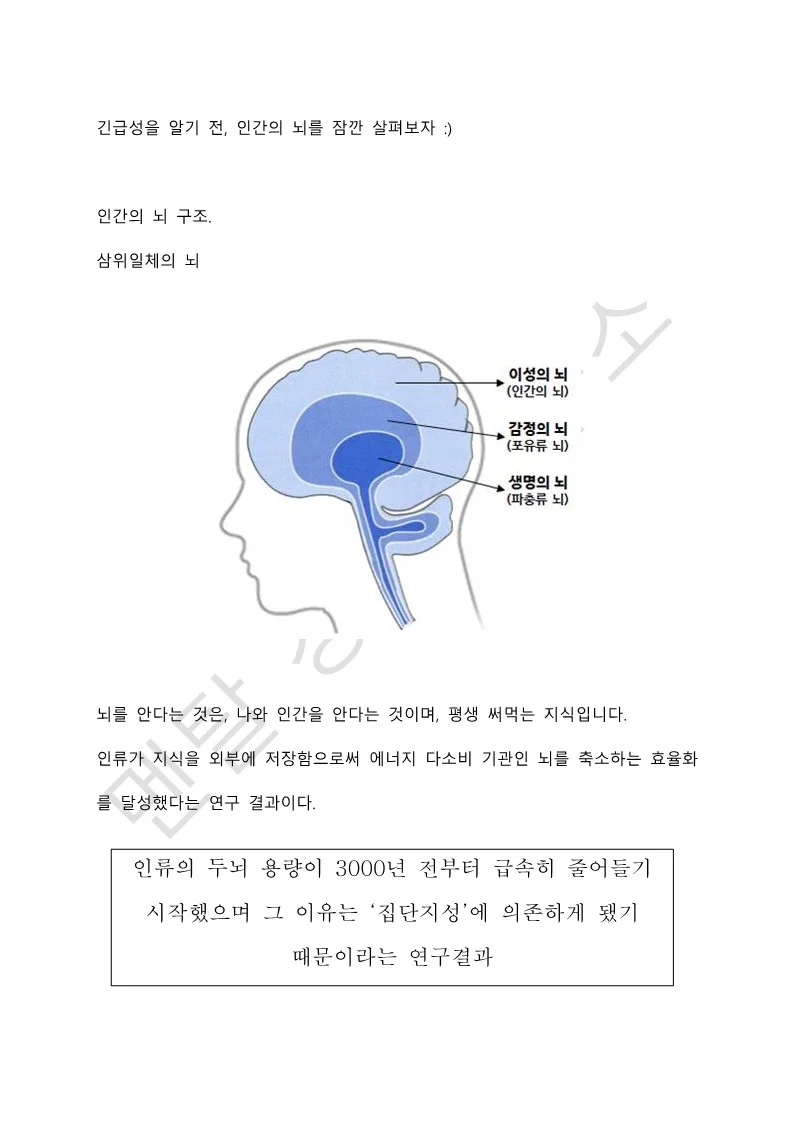 상세이미지-3