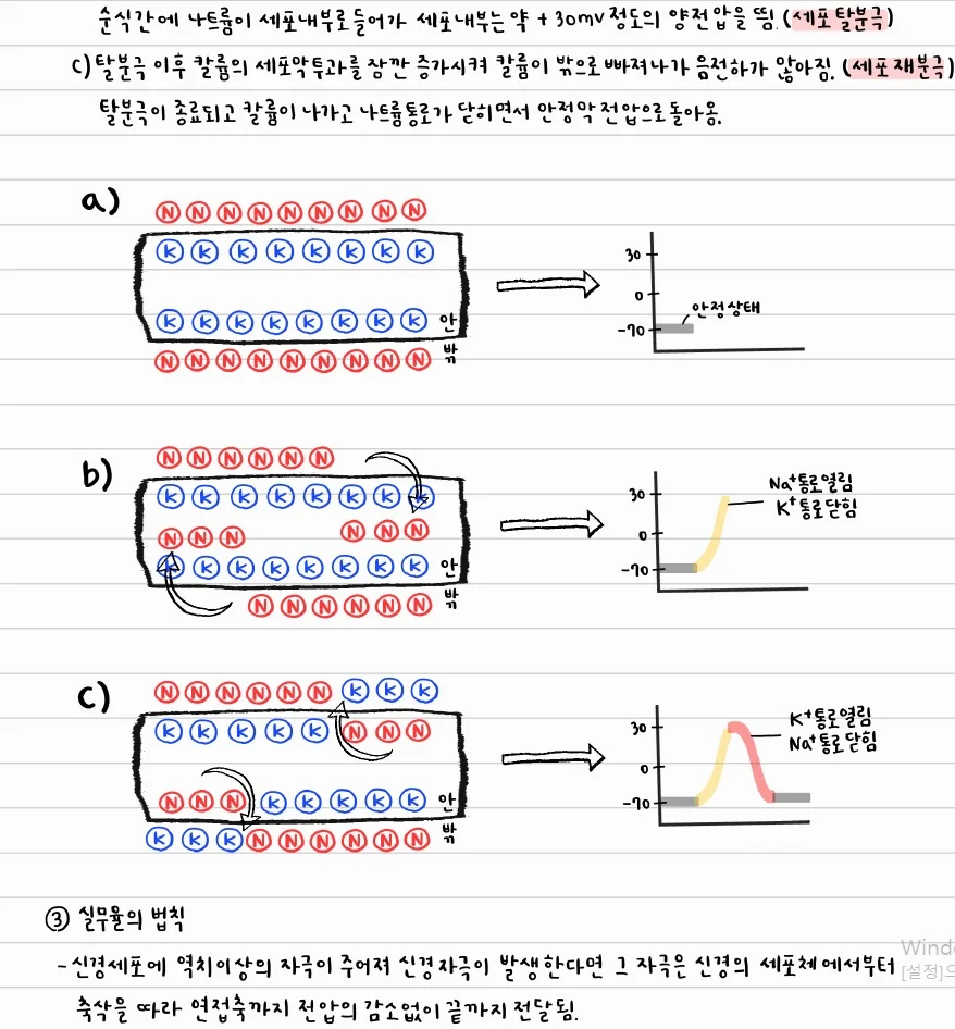 상세이미지-0