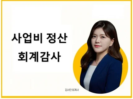 사업비 정산, 회계감사