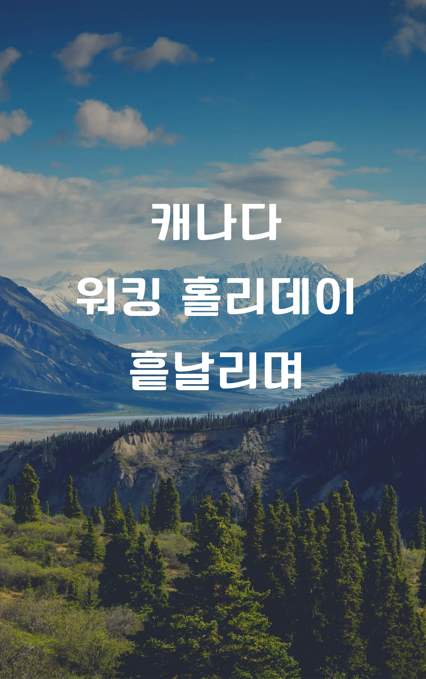 상세이미지-0