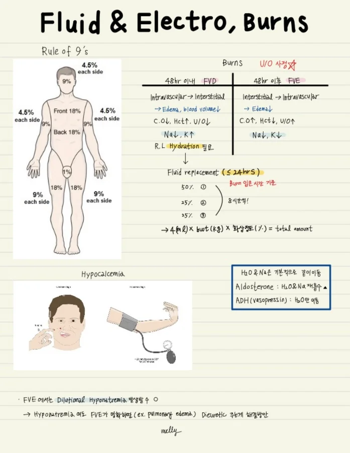 상세이미지-4