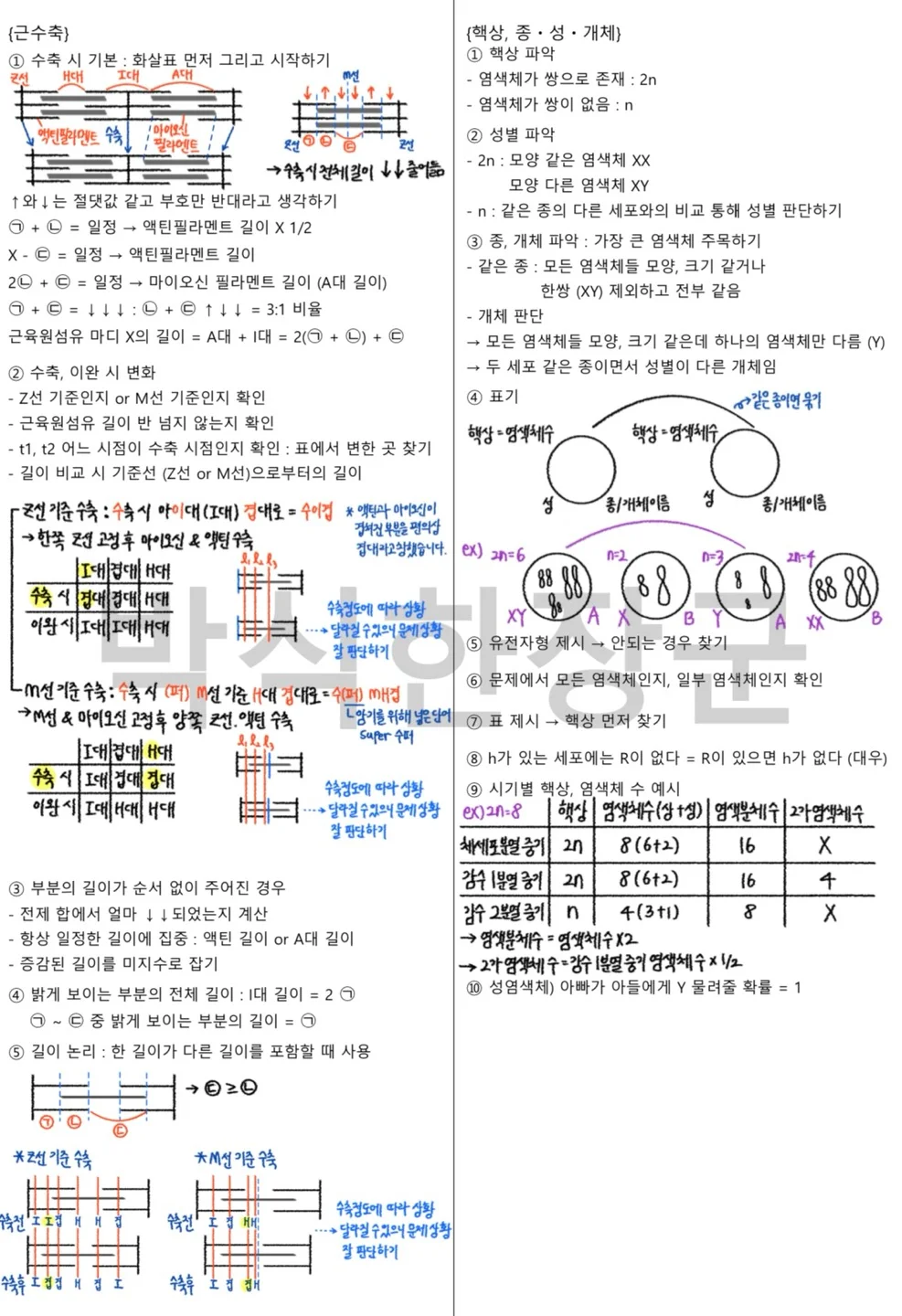 상세이미지-8