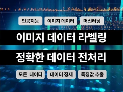 데이터 라벨링 / 가공 및 전처리