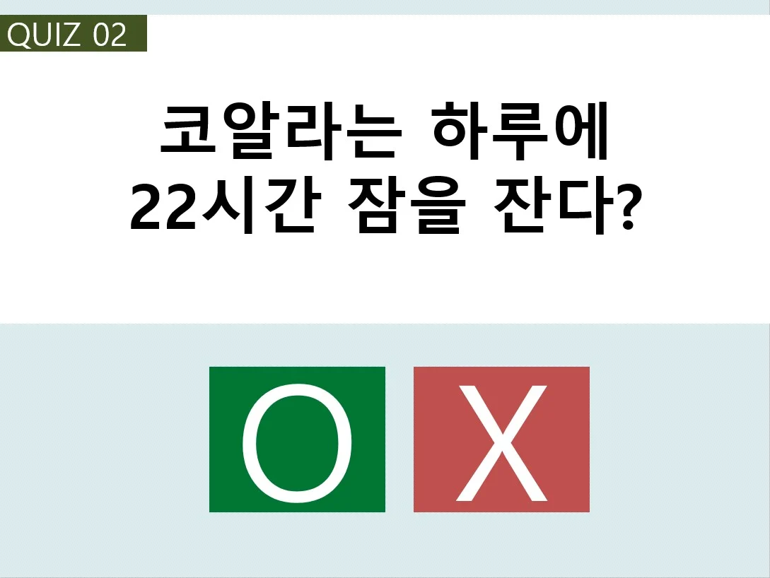 상세이미지-3