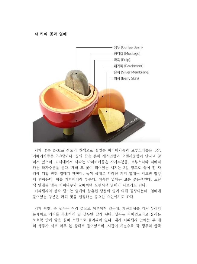 상세이미지-5