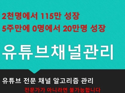 유튜브 수익창출까지 함께 도와드립니다