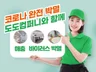 코로나바이러스 및 바퀴벌레,개미 각종 해충 퇴치해 드립니다.