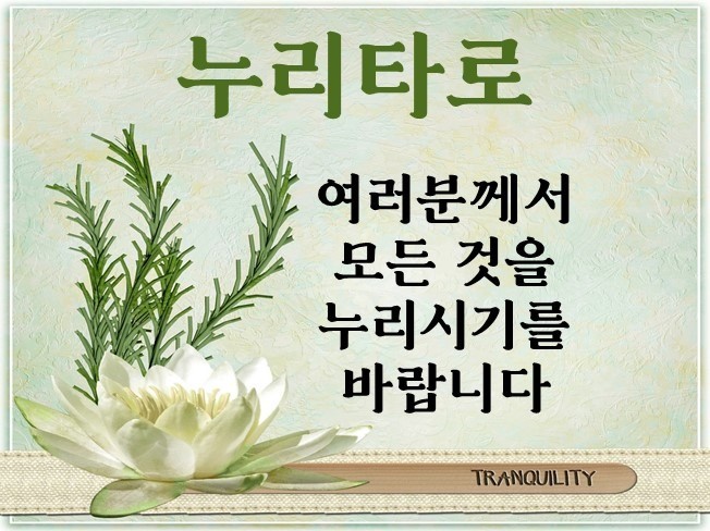 타로 전문가 누리타로 - 크몽