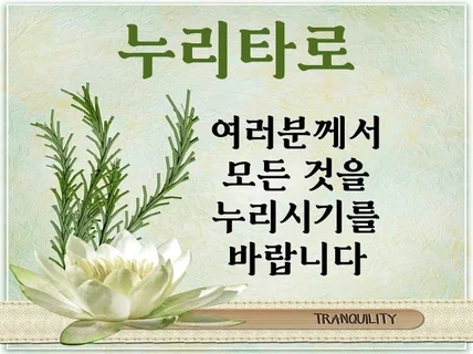 채팅, 전화 타로 상담으로 모든 것을 누리시기를 바라요