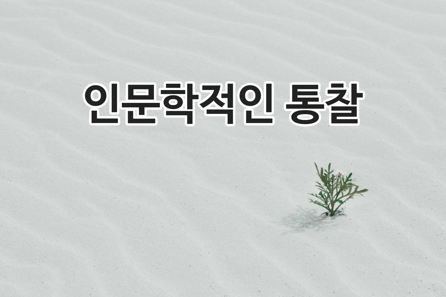 상세이미지-2