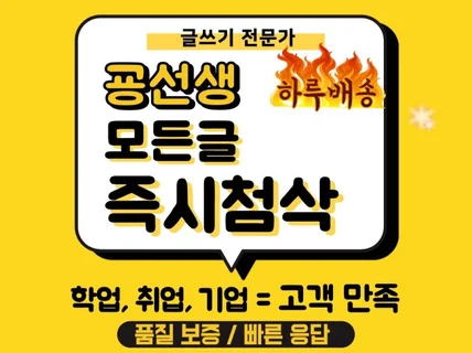 24시간 글쓰기 첨삭 / 논문,과제,취업,자소서,기업