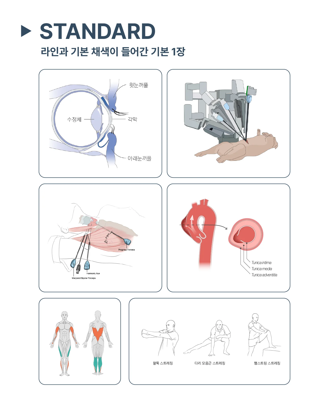 상세이미지-0