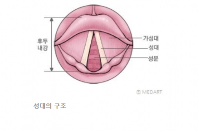 타임라인 이미지