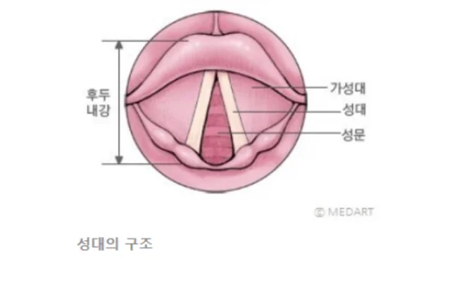 타임라인_2번째