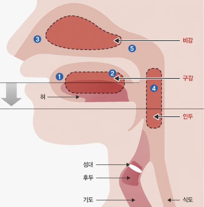 타임라인_3번째