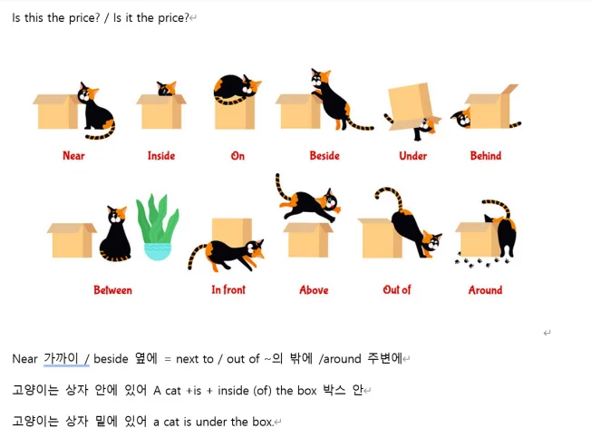 타임라인_1번째