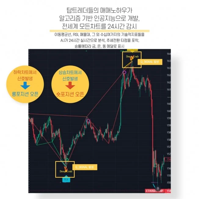 타임라인_1번째