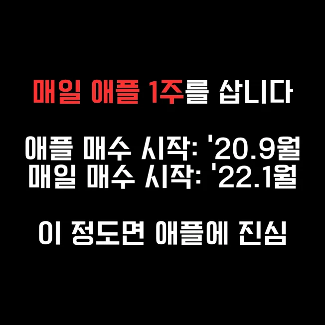 타임라인_2번째