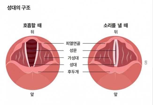 타임라인_2번째