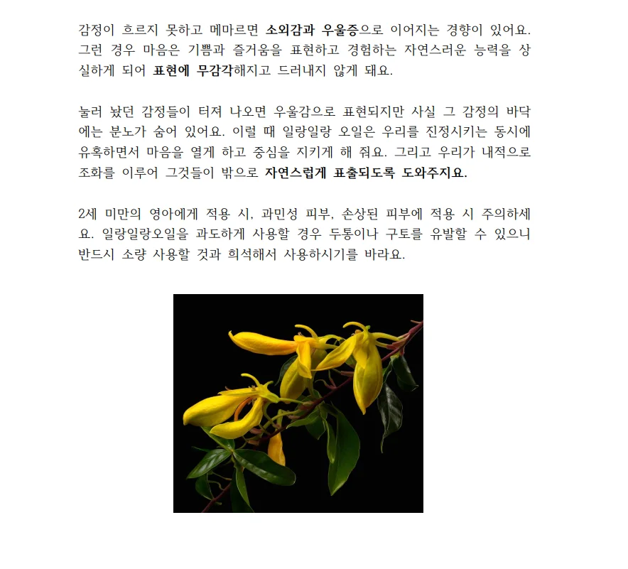 상세이미지-4