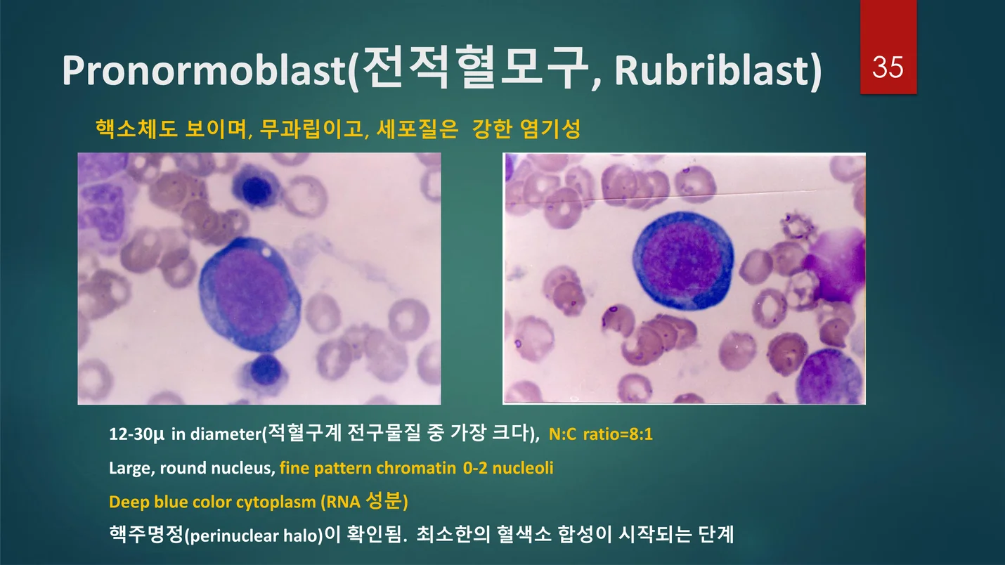 상세이미지-2