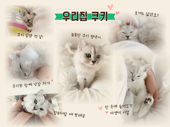 상세이미지-1