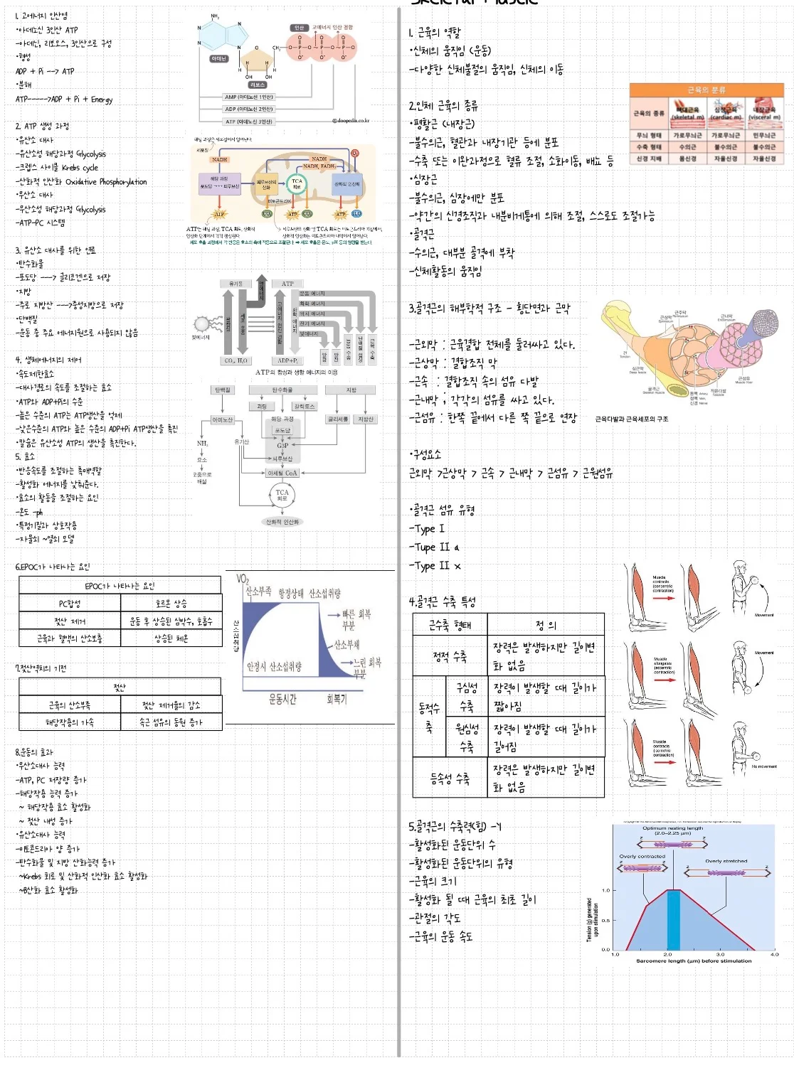 상세이미지-4